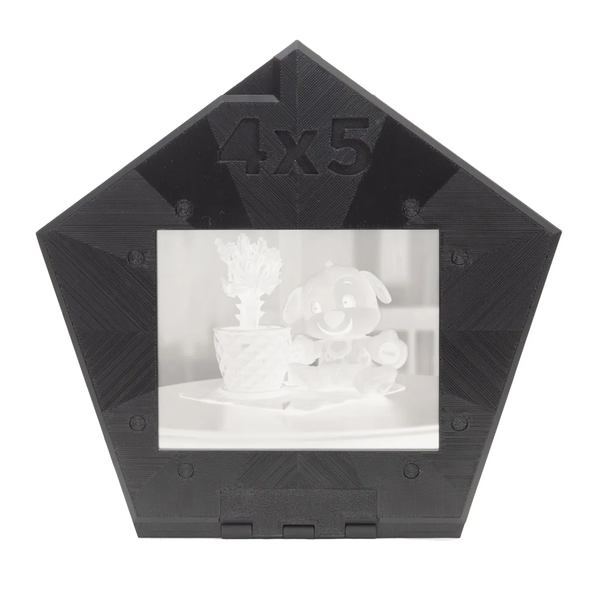 Top View of Omega D5 4x5 Negative Carrier